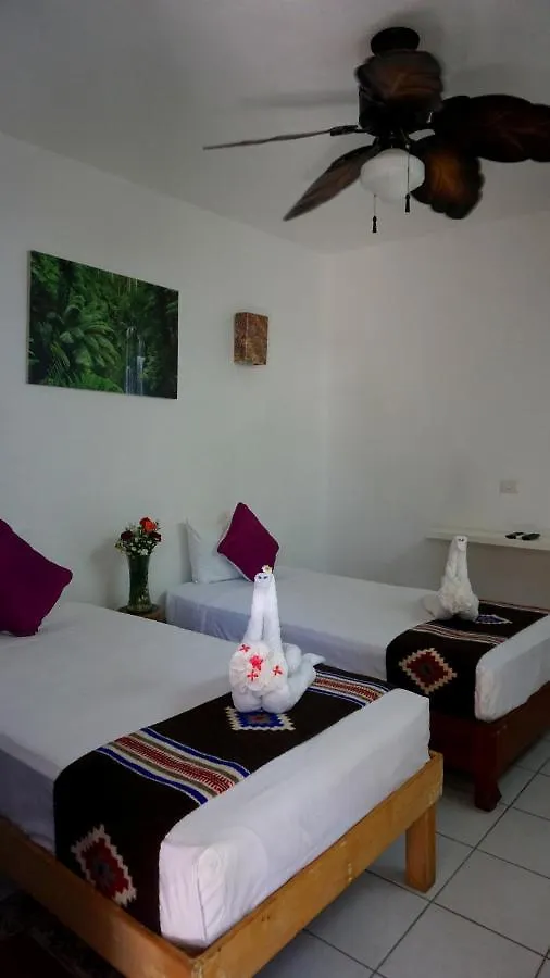 Hotel apartamentowy Selva Y Mar Apart Hotel Playa del Carmen